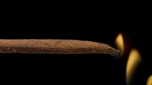 Mettre un feu de bâton d'encens avec de la fumée sur fond noir — Video