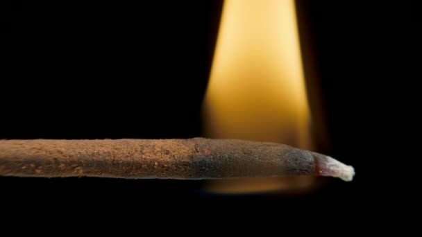 Incense stick with smoke on black background — Stock Video