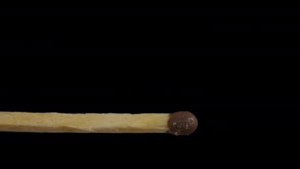 Макро вогонь, що горить на сірниковій стрічці, студійний знімок ізольовано на чорному тлі — стокове відео