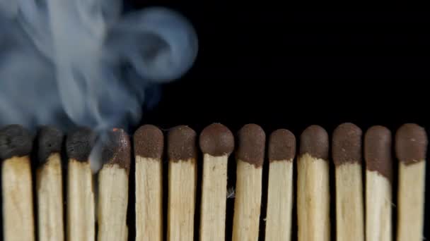 Line of lighted matches on black background — Stock Video