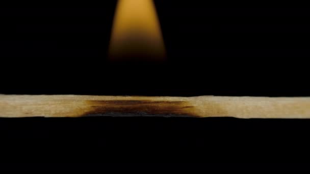 Macro fire burning on matchstick, studio shot isolated on black background — Stock Video