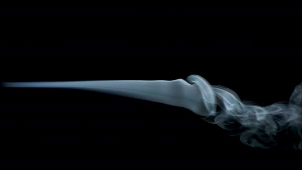 Abstrato branco azul ondas de fumaça no fundo preto — Vídeo de Stock