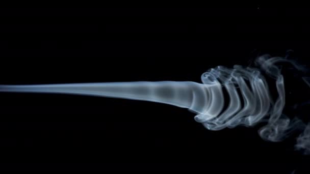 Abstrato Branco Azul Ondas Fumaça Movimentos Lentos Sobre Fundo Preto — Vídeo de Stock