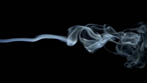 Abstraktní bílá modrý kouř vlny pomalu přesune na černém pozadí — Stock video