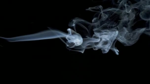 Abstrakte weiß-blaue Rauchschwaden langsame Bewegungen auf dem schwarzen Hintergrund — Stockvideo