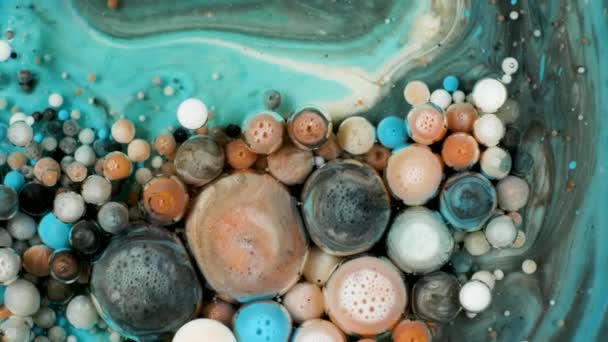 Peinture colorée dans les bulles se déplace organiquement dans le liquide — Video