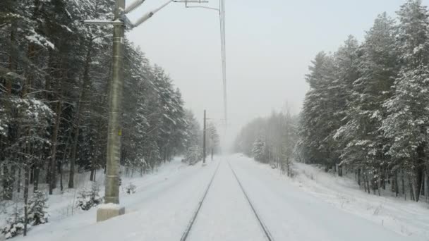 Gamla järnvägen i vinter skog under snöstorm — Stockvideo