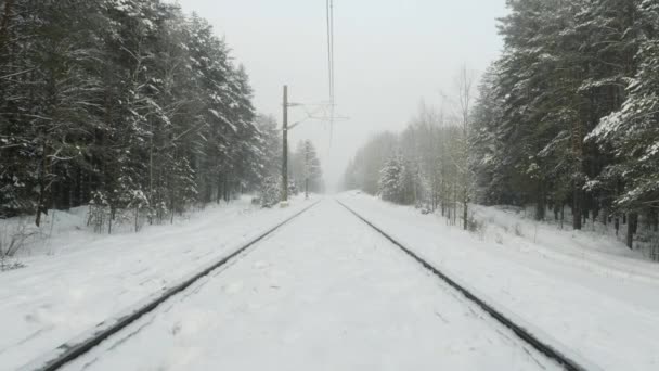 Velha ferrovia na floresta de inverno durante a tempestade de neve — Vídeo de Stock