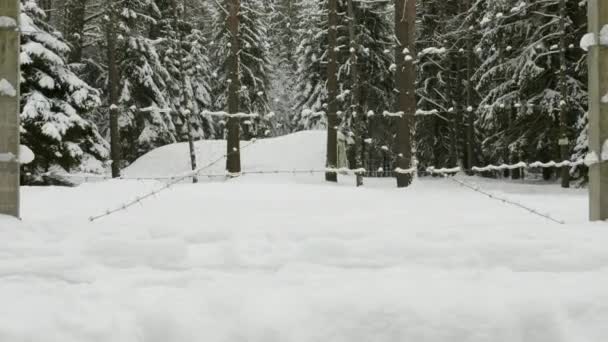 Piccolo bunker militare circondato da filo spinato nella foresta invernale — Video Stock