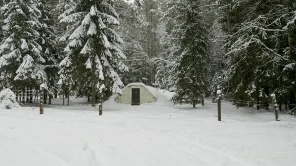 Piccolo bunker militare circondato da filo spinato nella foresta invernale — Video Stock