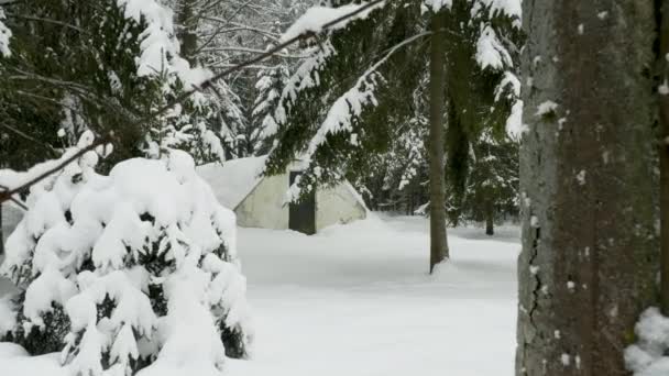 Lille militær gammel bunker omgivet af pigtråd om vinteren skov – Stock-video