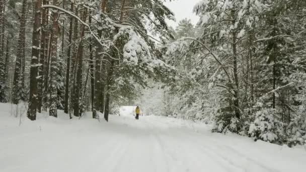 Kvinna promenader i snöig vinter skog med en hund — Stockvideo