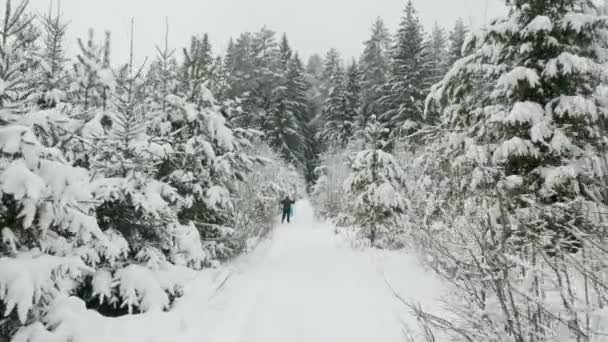 Uomo attivo che si muove dopo la moglie mentre sciare nella foresta invernale a svago — Video Stock