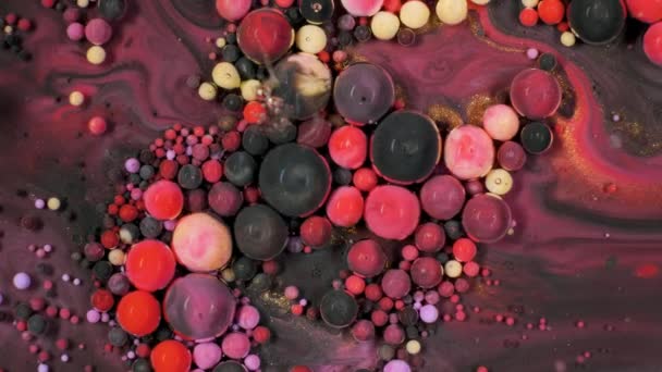 Ακρυλικό χρώμα ρέει οργανικά στο υγρό — Αρχείο Βίντεο