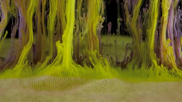 Pintura de tinta colorida en el agua, flujo de tinta arremolinada hasta debajo del agua — Vídeos de Stock