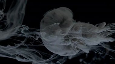 Siyah mürekkep boya duman akış su