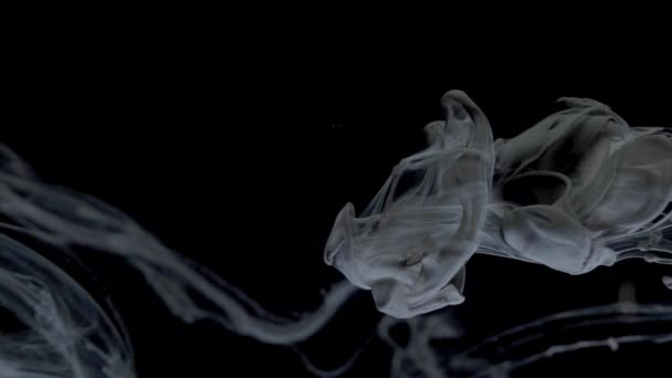 Black ink paint smoke flow in the water — Stock Video