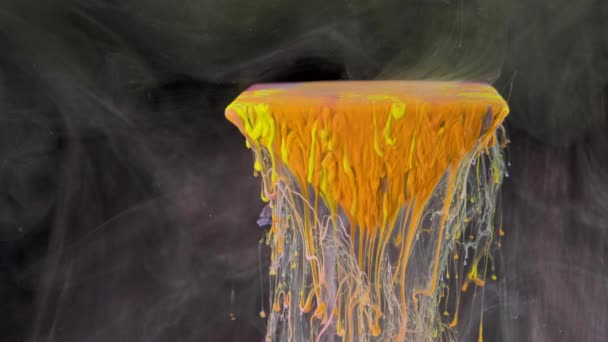Vícebarevné inkoustové barvy pomalu proudí z prizmatem pod vodou — Stock video