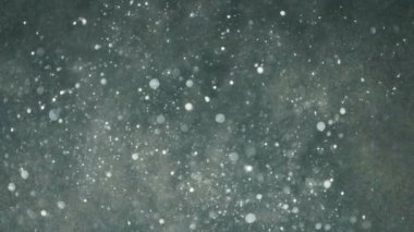 Sığ alan derinliği sualtı ile zarif, ayrıntılı ve keyifli bokeh ve parçacıklar görseller