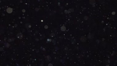 Sığ alan derinliği sualtı ile zarif, ayrıntılı ve keyifli bokeh ve parçacıklar görseller