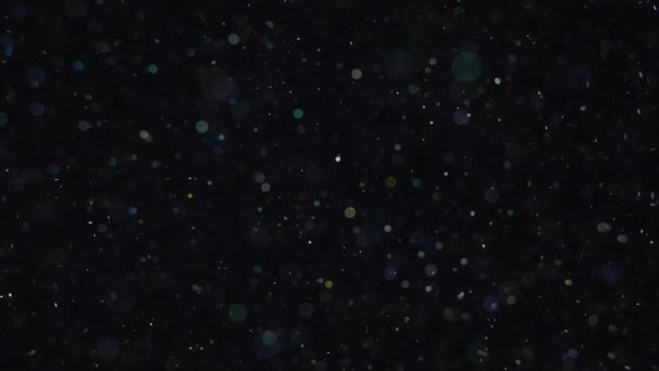 Елегантні, деталізовані та чудові боке та частинки візуальні з неглибокою глибиною різкості під водою — стокове відео