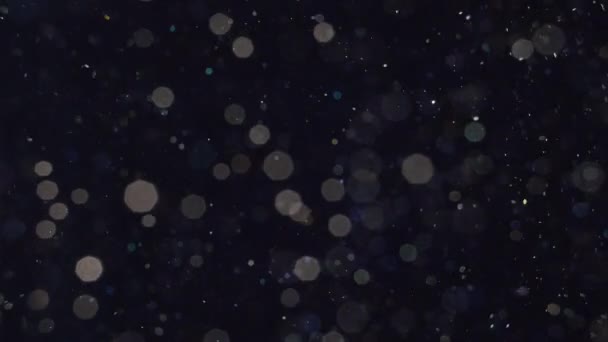 Элегантные, детализированные и восхитительные визуальные эффекты боке и частиц с поверхностной глубиной резкости под водой — стоковое видео