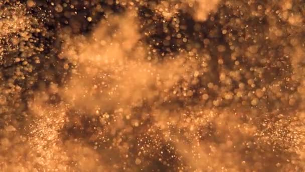 Elegant, detailed, and golden particles flow with shallow depth of field underwater — Stock Video