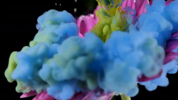Färgglad färg bläcket rinner vattnet en blomma — Stockvideo
