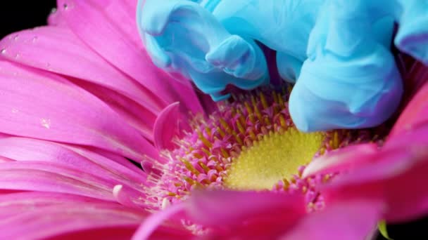 Colorida tinta de pintura fluye una flor en el agua — Vídeo de stock