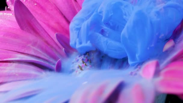 Tinta de tinta colorida flui uma flor para a água — Vídeo de Stock