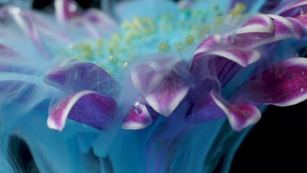 Bunte Farbe lässt eine Blume ins Wasser fließen — Stockvideo