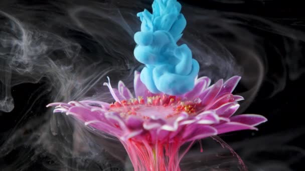 L'encre de peinture colorée coule une fleur dans l'eau — Video