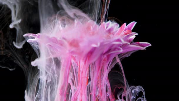 Красочные краски чернил течет цветок в воду — стоковое видео