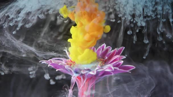 Tinta de tinta colorida flui uma flor para a água — Vídeo de Stock