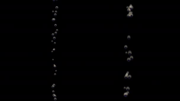 Transparente Blasen steigen unter Wasser über schwarzem Hintergrund auf — Stockvideo
