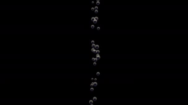 Transparent bubbles go up underwater over black background — Stock Video