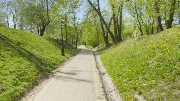Тропинка в зеленом весеннем парке, дневной свет — стоковое видео