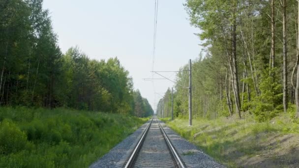Железная дорога в зеленом лесу в летний день, вид вдаль — стоковое видео