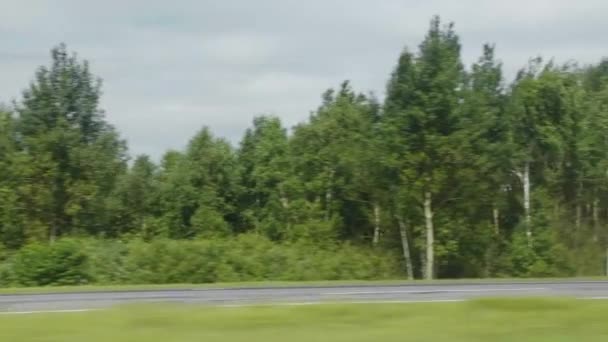Widok z okna samochodu na las i pole w letni dzień — Wideo stockowe