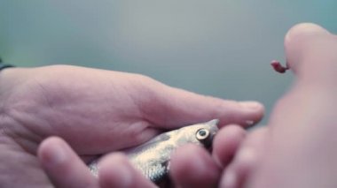 Balıkçı ahnds balık ve kanca solucan alır