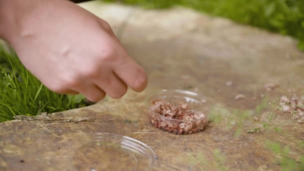 Mann hält Wurm zum Fischen in der Hand — Stockvideo