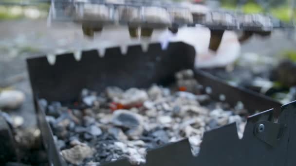 蘑菇棕色香菇在户外烧烤或烧烤烹饪 — 图库视频影像