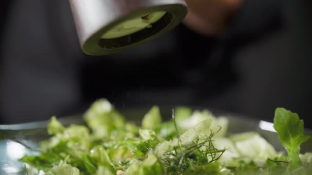 Koka strössel salt och kryddor till den gröna Salat på den svarta bakgrunden — Stockvideo