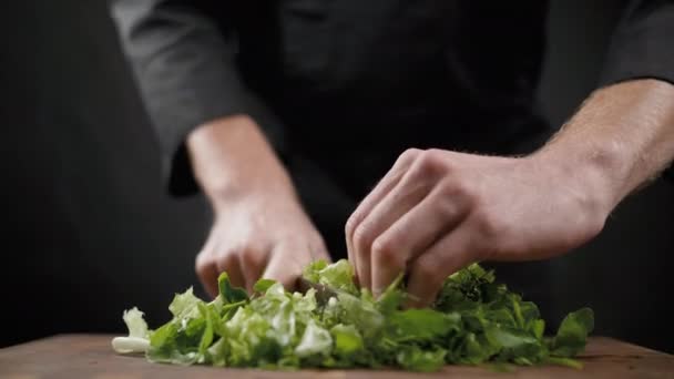 Резка много зеленого салата для салата на деревянном столе на черном фоне — стоковое видео