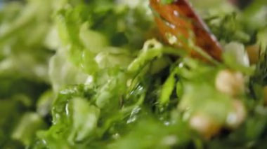 Adam tahta kaşıkla vejetaryen yeşil salata karıştırır