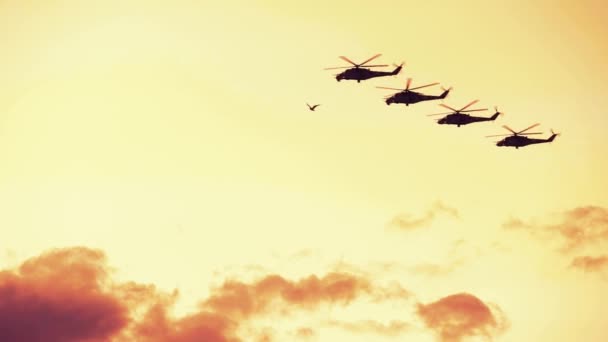 Grupo de helicópteros de combate rusos, Mi-24, Mi-8, K-52, rojo cálido atardecer — Vídeos de Stock