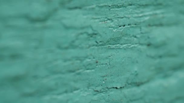 Surface of old wood blue green cyan color paint wall on the house — Stock Video