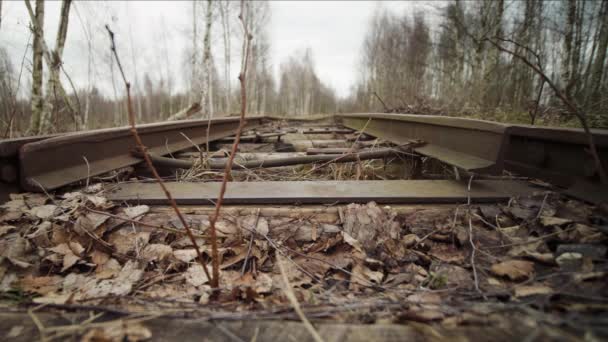 Mekanism för automatisk omkoppling pilar spår på järnvägen i höstskogen — Stockvideo