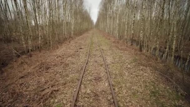 Opuszczona kolejka wąskotorowa w lesie, jesienny dzień — Wideo stockowe
