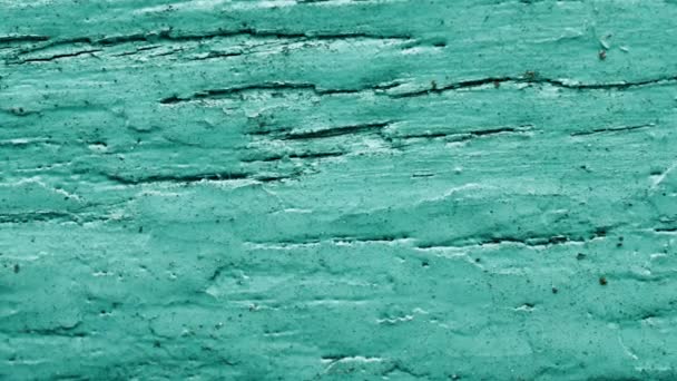 Felület a régi fa kék zöld cián színű festék fal a ház — Stock videók